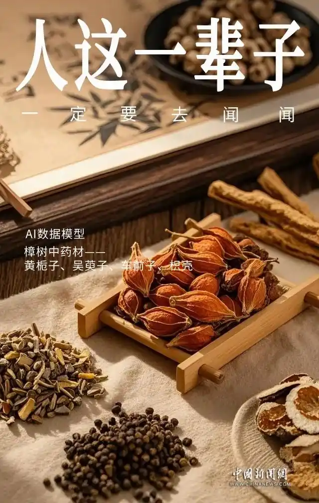 人这一辈子，一定要去药都樟树逛一场夜市